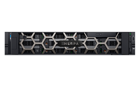 Сервер NERPA DE LR 55