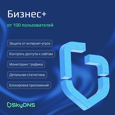 Сервис SkyDNS Бизнес+