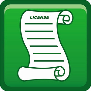 Лицензия DECT менеджера N870