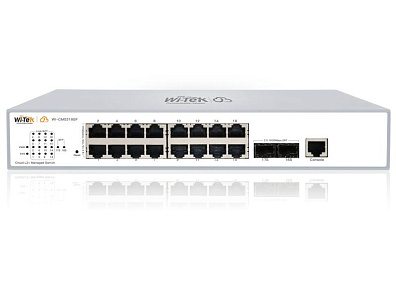 Wi-Tek WI-CMS318GF